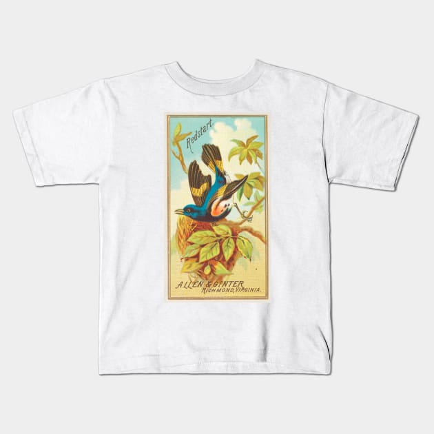 Redstart Kids T-Shirt by WAITE-SMITH VINTAGE ART
